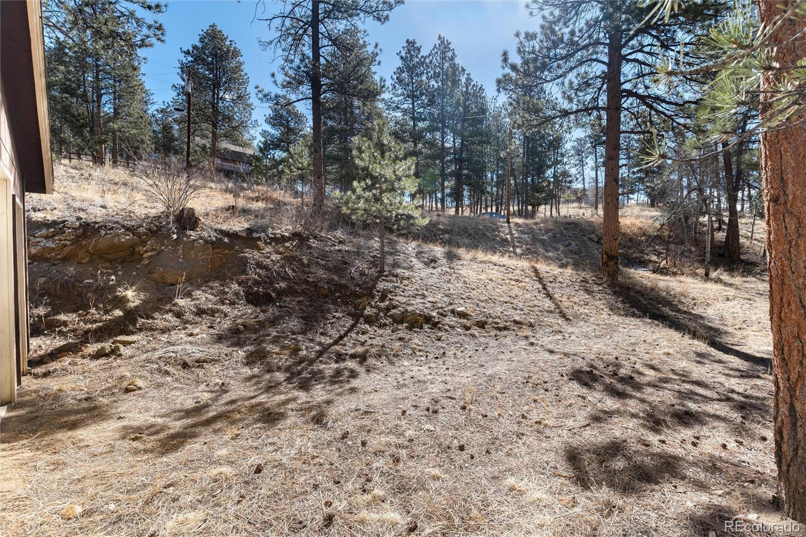 Crest Circle Bailey, CO 80421 - Photo 24 of 40 Gallery Image 24