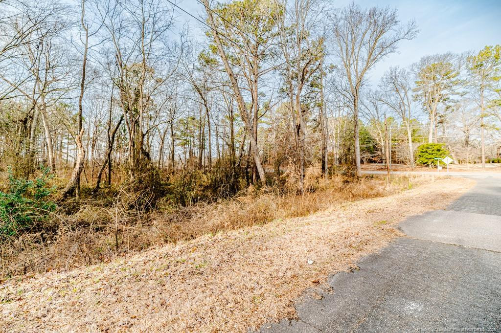 Hickory House Road Sanford, NC 27330 - Photo 3 of 7 Westchester View