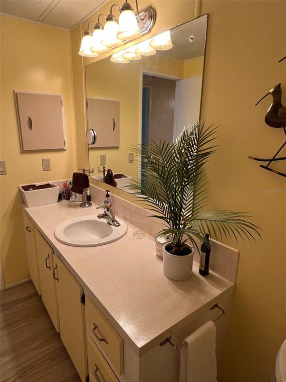 52 Frangipani Circle Largo, FL 33770 - Photo 32 of 33 a bathroom with a sink a mirror and a potted plant