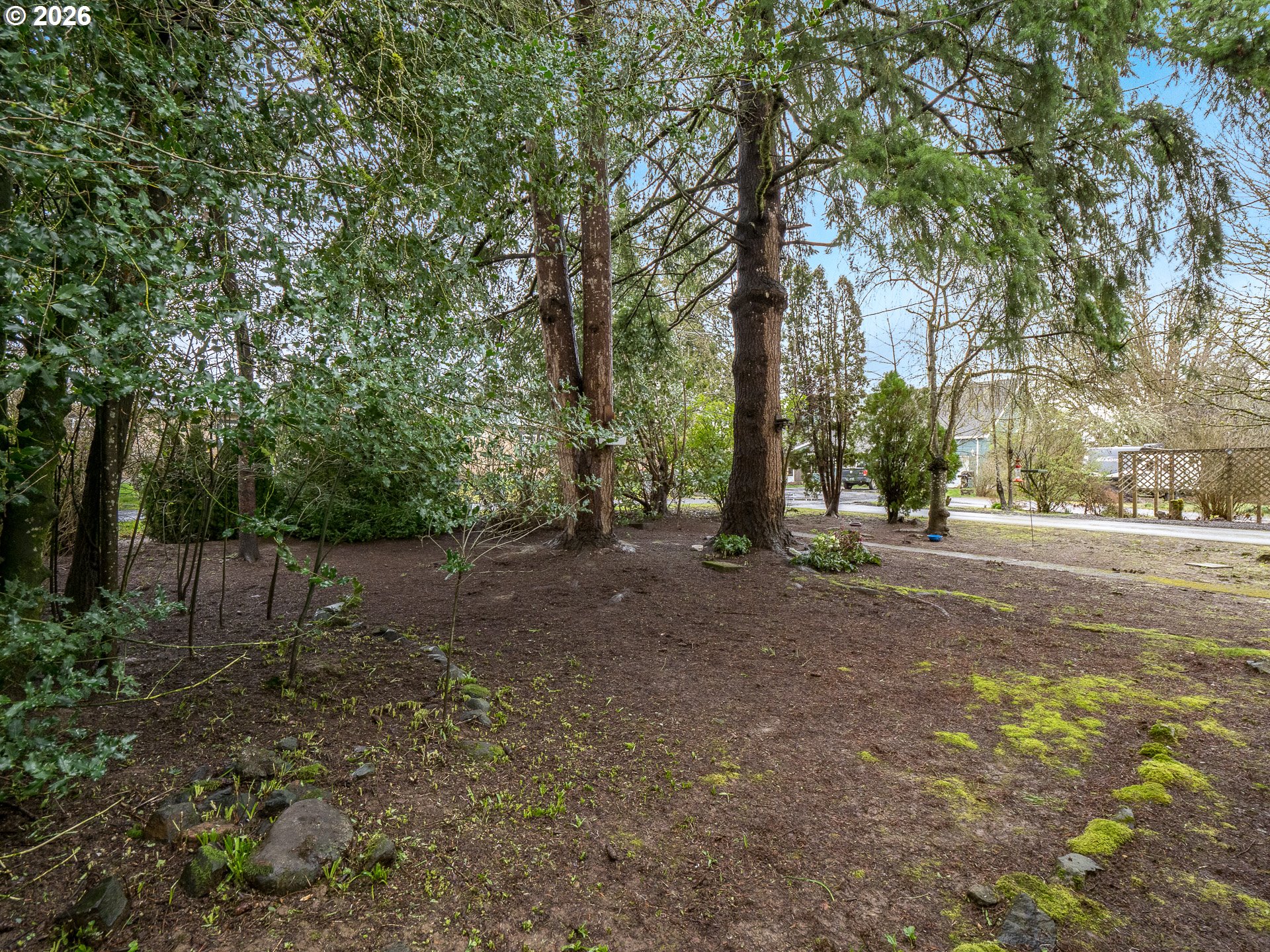 336 North 5th Street Carlton, OR 97111 - Photo 41 of 48 a view of a forest with trees