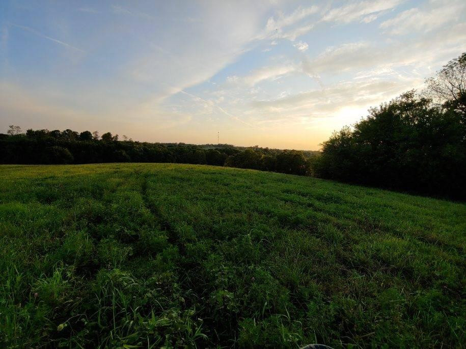 770 Little Stoner Road Winchester, KY 40391 - Photo 14 of 34 Listing Photo