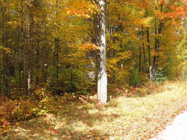 On Maple Road Rhinelander, WI 54501 - Photo 2 of 7 Gallery Image 2