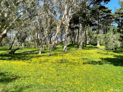 $995,000 | 1405 34th Avenue, San Francisco, CA 94122