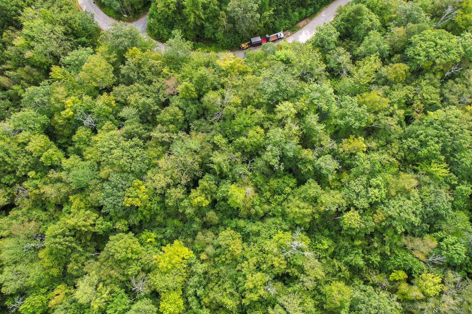 0 Ledgewood Circle, Unit 13 Bristol, NH 03222 - Photo 23 of 51