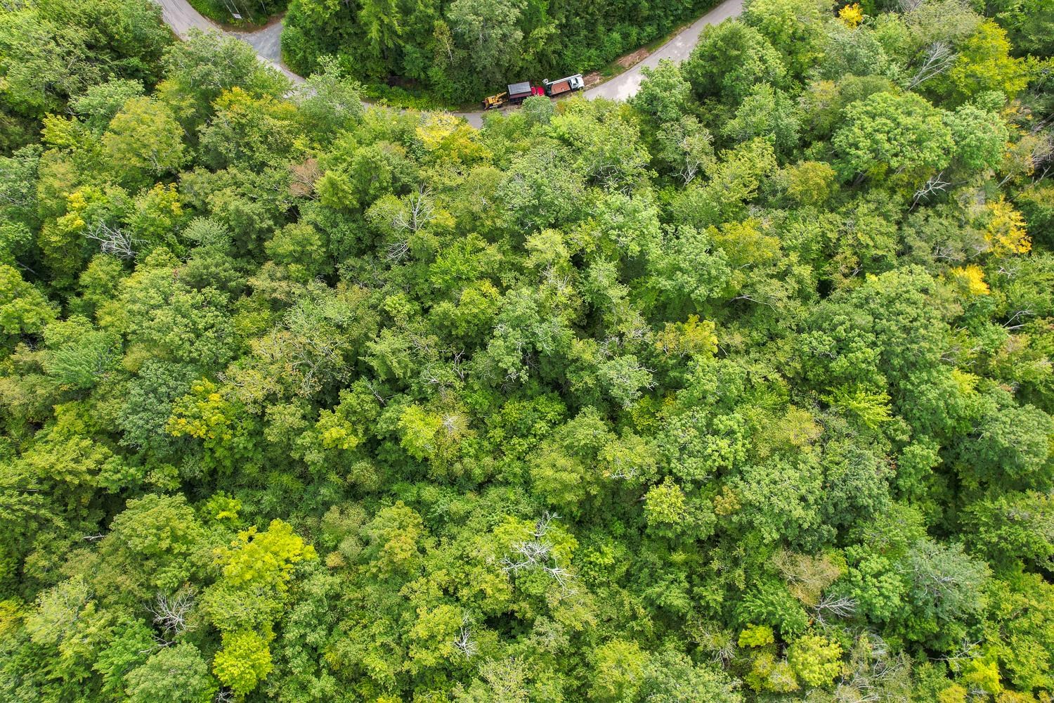 0 Ledgewood Circle, Unit 13 Bristol, NH 03222 - Photo 51 of 51