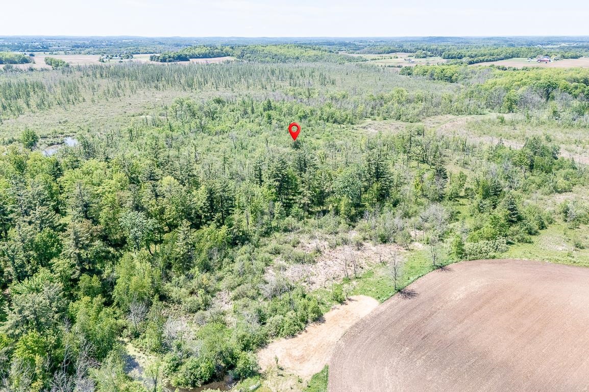 54 State Road, Unit A Weyauwega, WI 54983 - Photo 7 of 15
