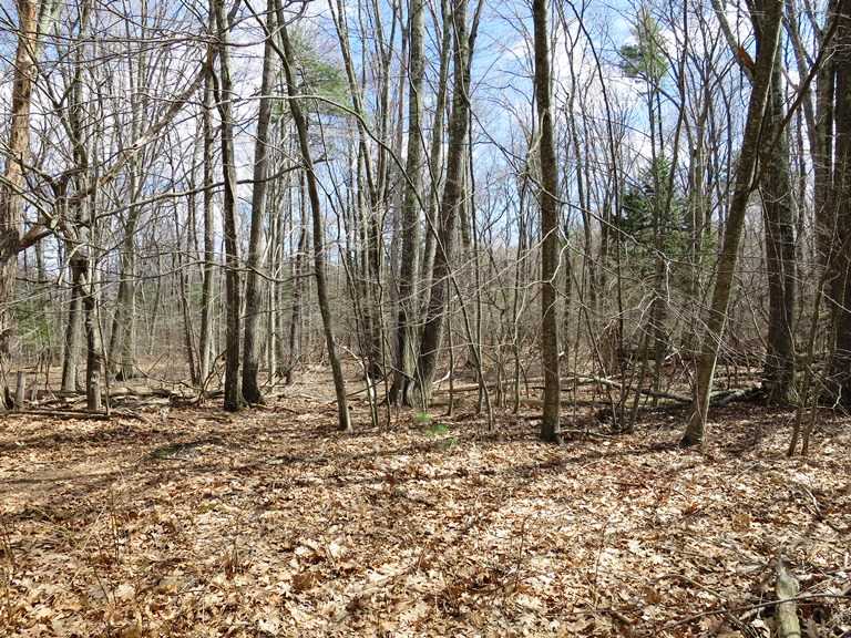 144 Kingston Road Exeter, NH 03833 - Photo 24 of 26