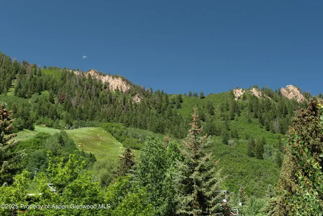 a view of a green field