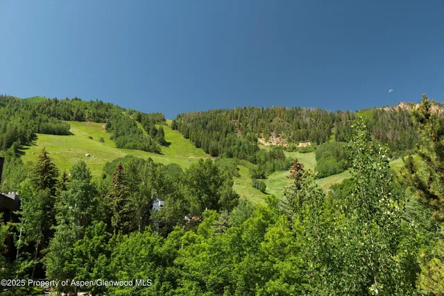 a view of a large body of water with a large tree