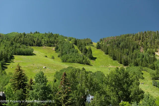 a view of a green field with lots of bushes