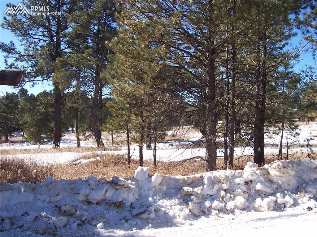 8725 Wildridge Road Colorado Springs, CO 80908 - Photo 1 of 2 Gallery Image 1