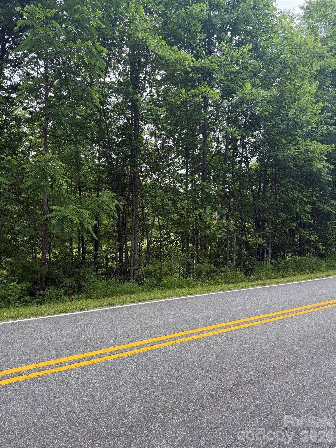 Lot 3 Parker Padgett Road Old Fort, NC 28762 - Photo 3 of 3
