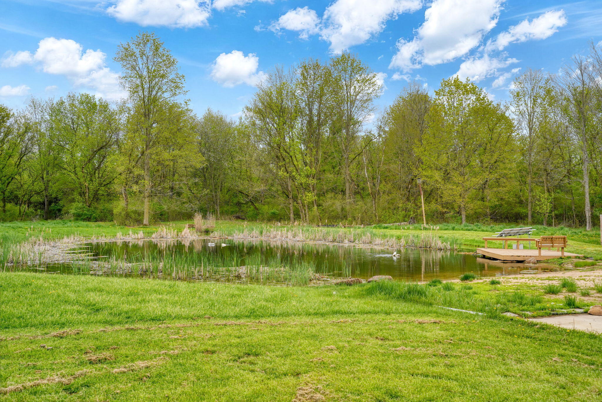 2185 West Barnes Road Leslie, MI 49251 - Photo 57 of 73 56-web-or-mls-DSC05672_HDR