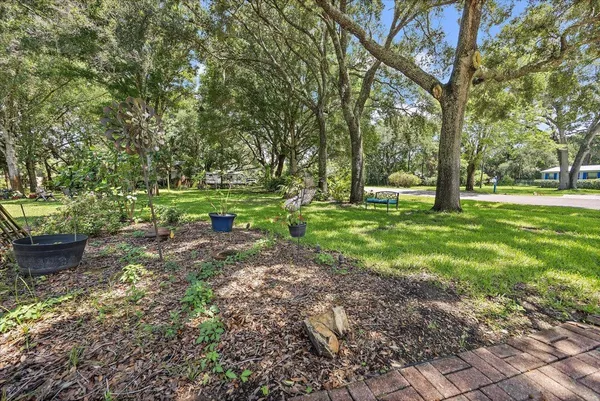 a big yard with lots of green space and trees in the back
