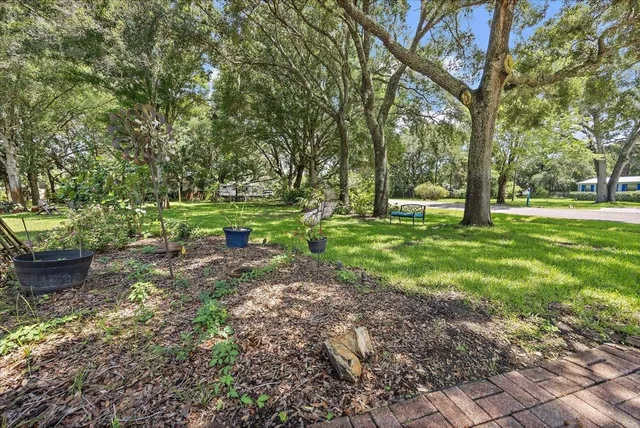 a big yard with lots of green space and trees in the back