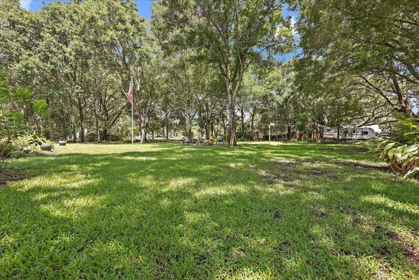 a view of park with trees