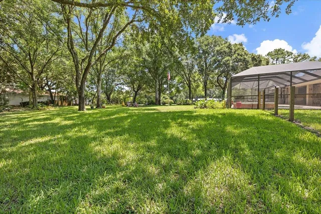 a view of a yard in front of the house