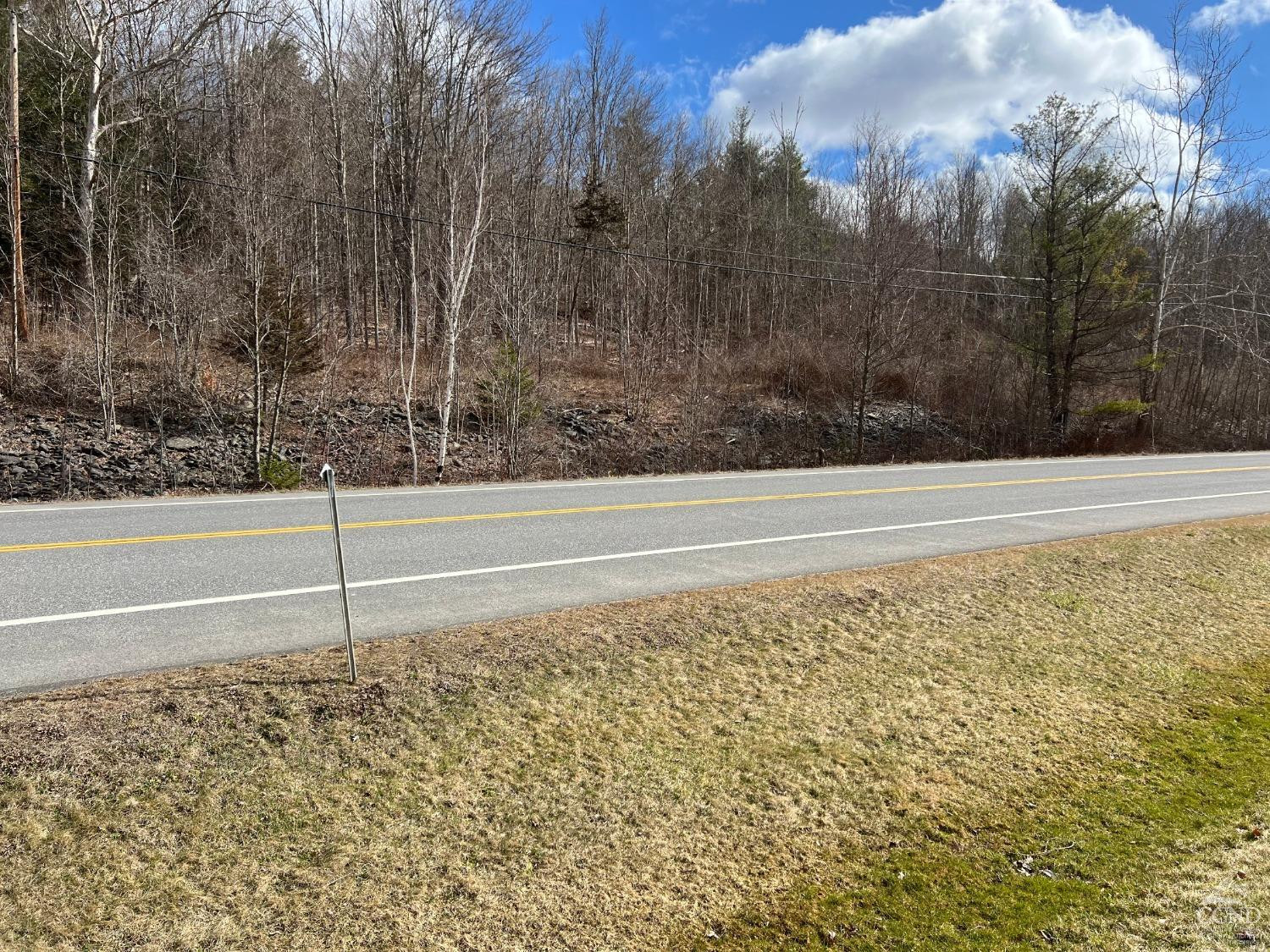 0 Route 23a Road Prattsville, NY 12468 - Photo 16 of 18 Photo 15