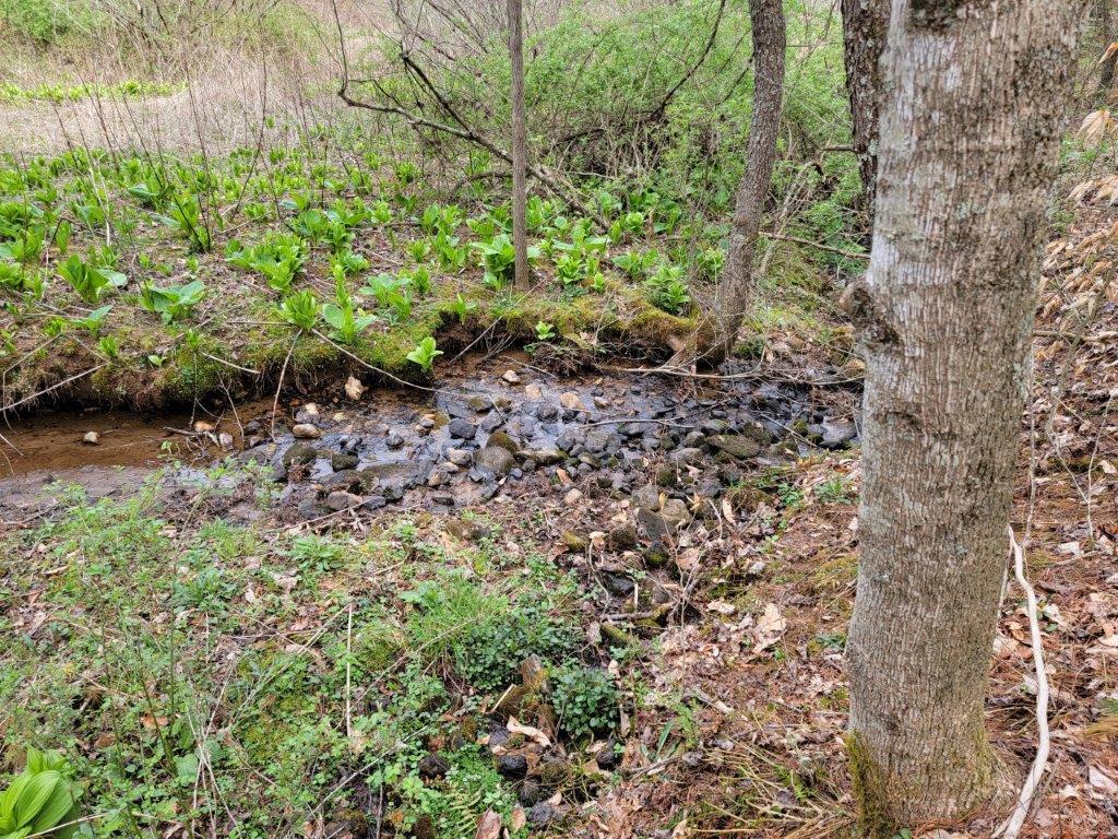 Tbd Hunters Ridge Road Hillsville, VA 24343 - Photo 63 of 64 Gallery Image 63