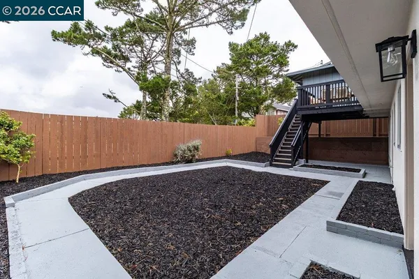 a view of backyard with window