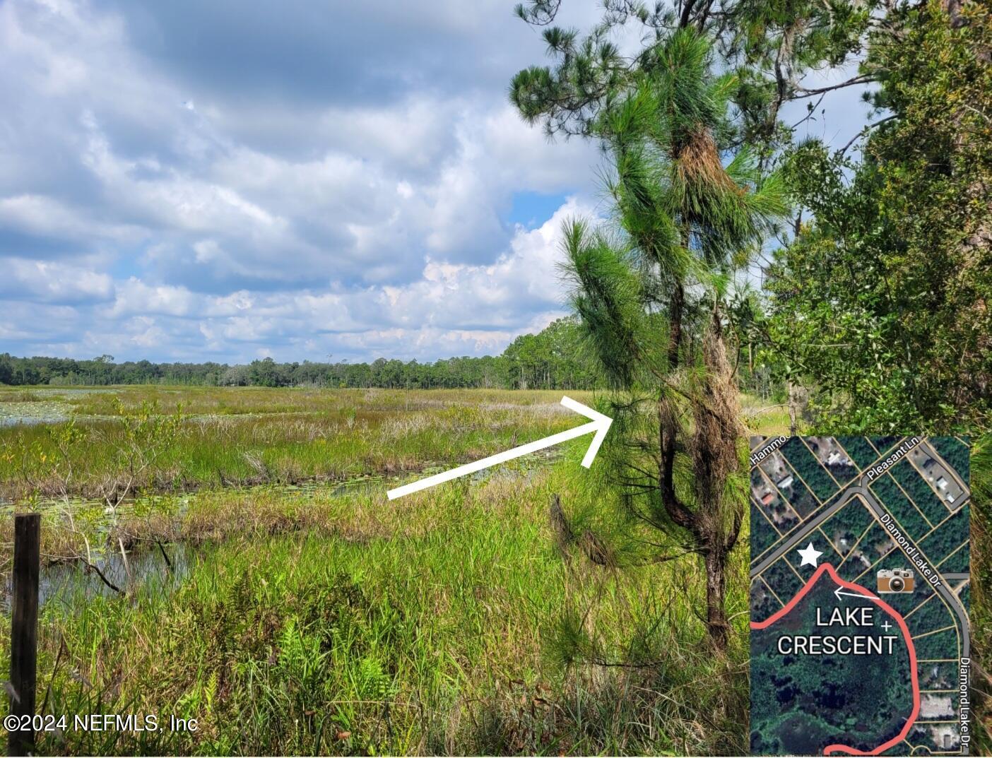 124 Pleasant Trail Crescent City, FL 32112 - Photo 1 of 11 a view of a city with lots of trees