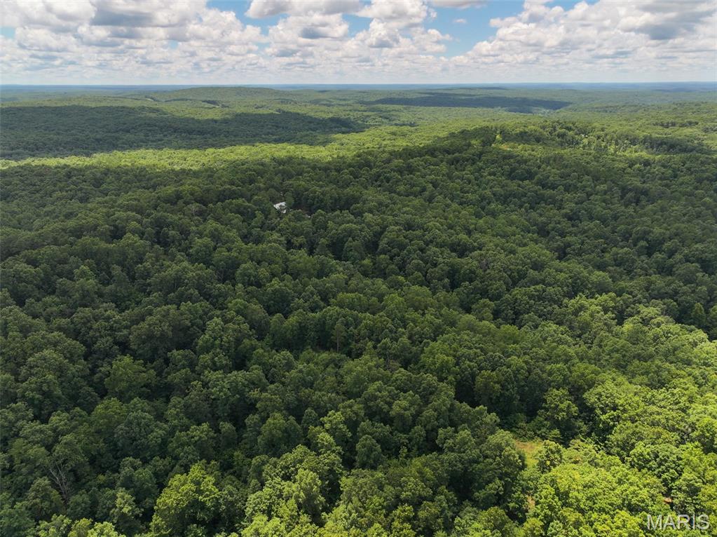 12251 Stone Ridge Road Bourbon, MO 65441 - Photo 11 of 26