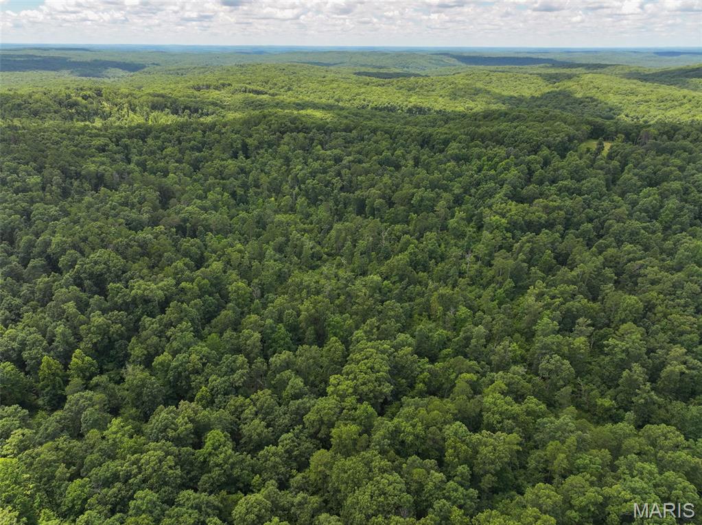 12251 Stone Ridge Road Bourbon, MO 65441 - Photo 12 of 26