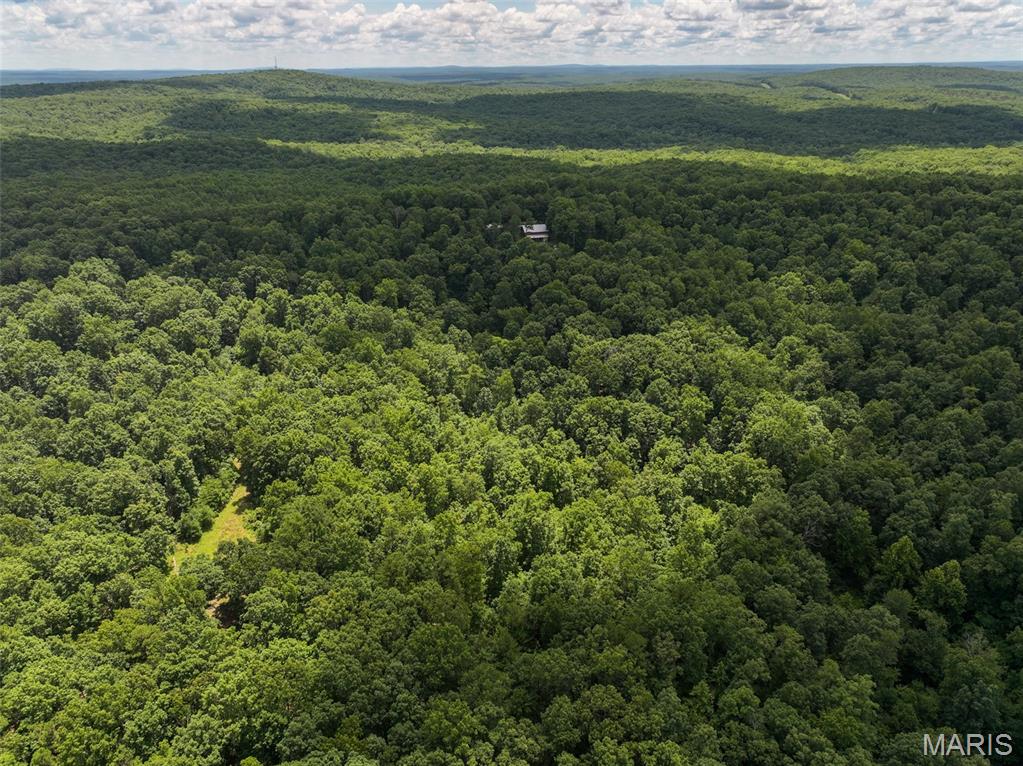 12251 Stone Ridge Road Bourbon, MO 65441 - Photo 13 of 26