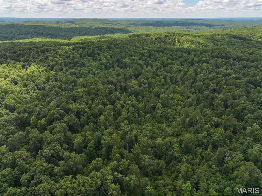 12251 Stone Ridge Road Bourbon, MO 65441 - Photo 15 of 26