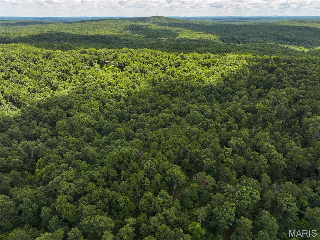 12251 Stone Ridge Road Bourbon, MO 65441 - Photo 16 of 26