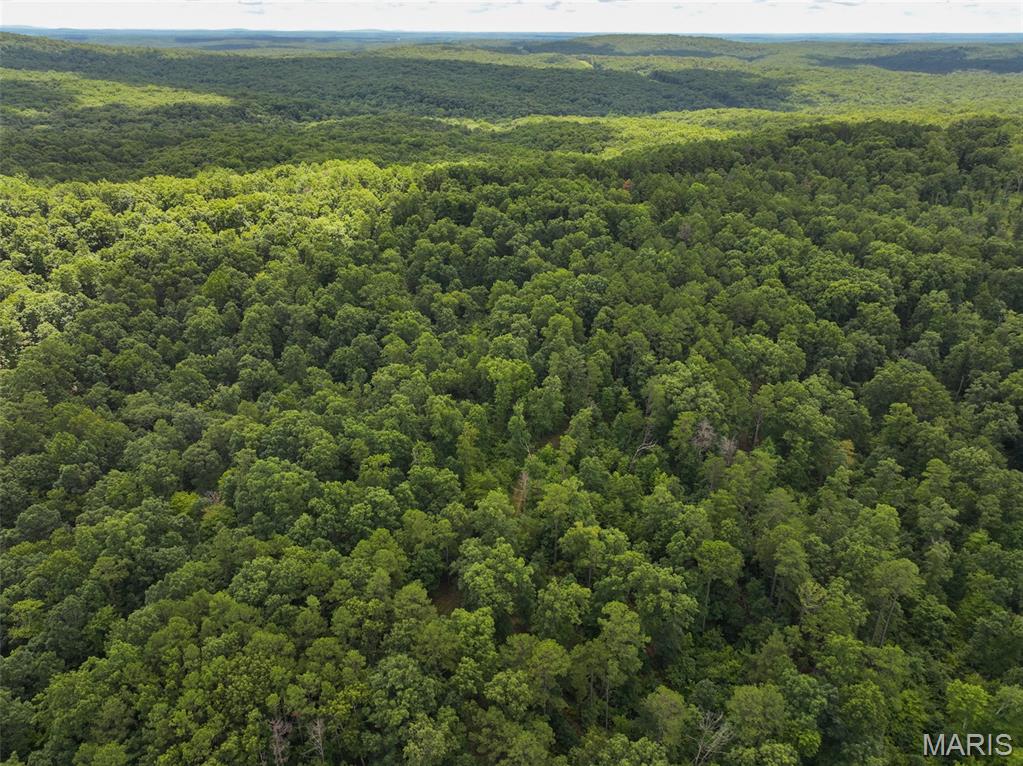 12251 Stone Ridge Road Bourbon, MO 65441 - Photo 17 of 26