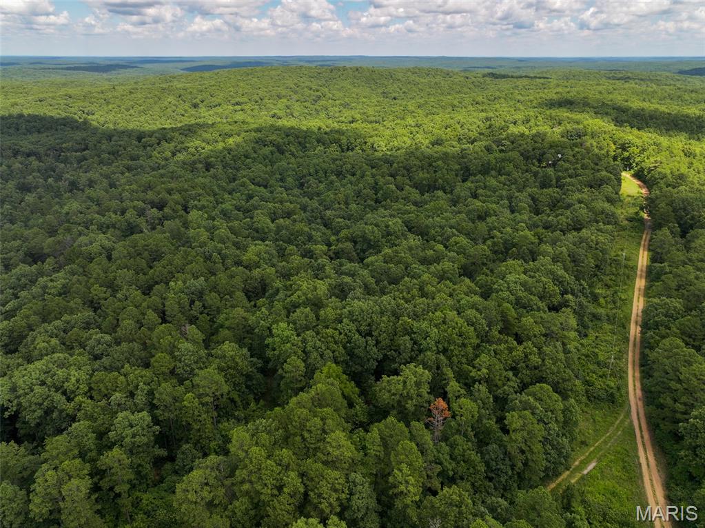 12251 Stone Ridge Road Bourbon, MO 65441 - Photo 18 of 26