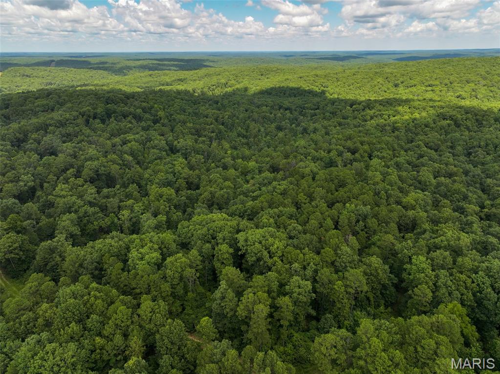 12251 Stone Ridge Road Bourbon, MO 65441 - Photo 19 of 26