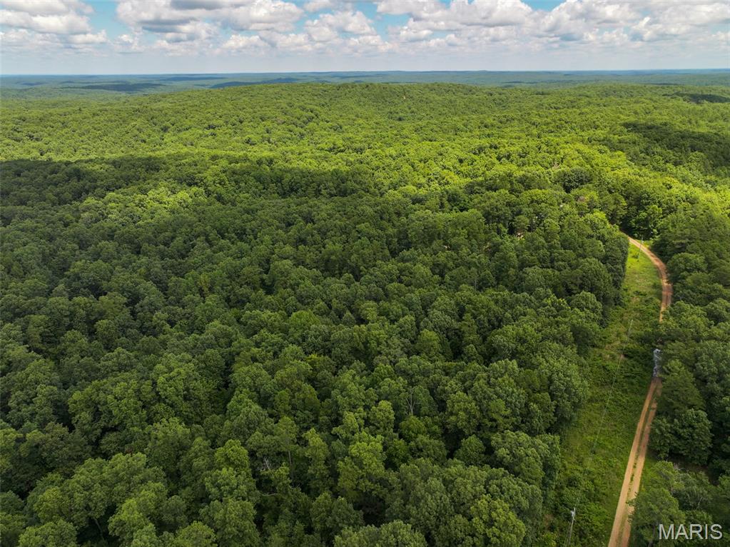 12251 Stone Ridge Road Bourbon, MO 65441 - Photo 20 of 26