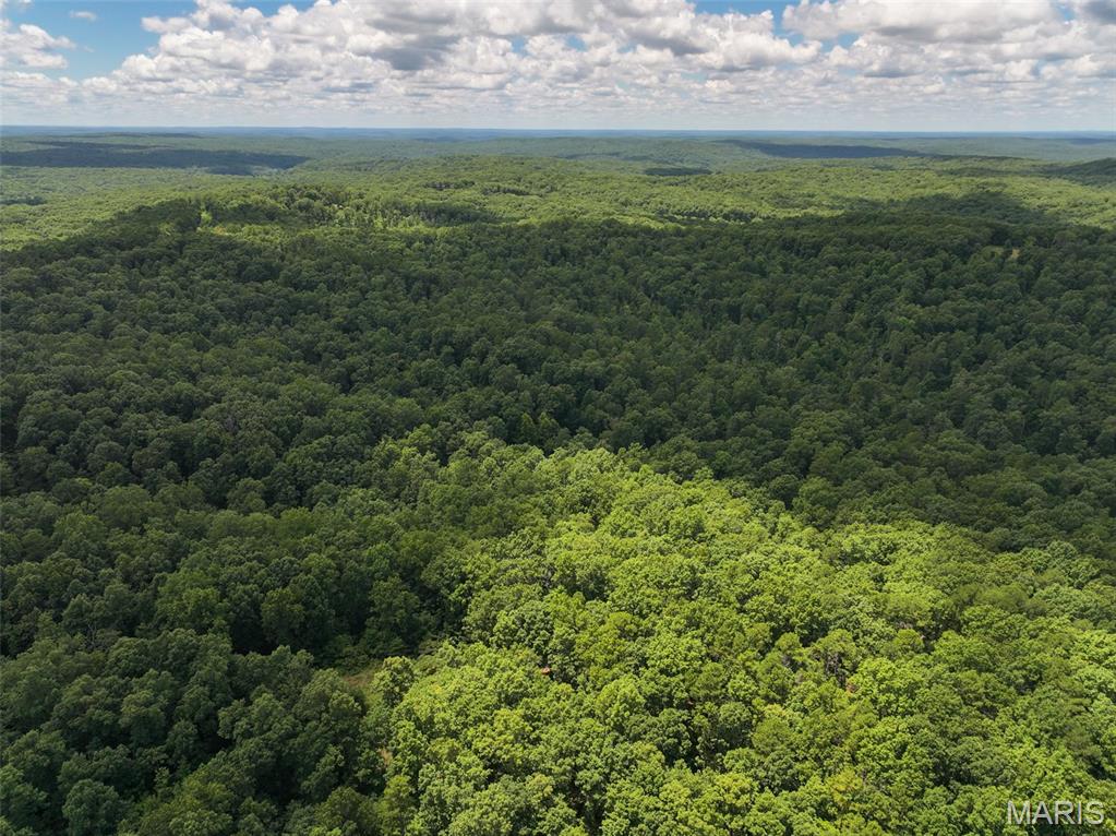 12251 Stone Ridge Road Bourbon, MO 65441 - Photo 4 of 26