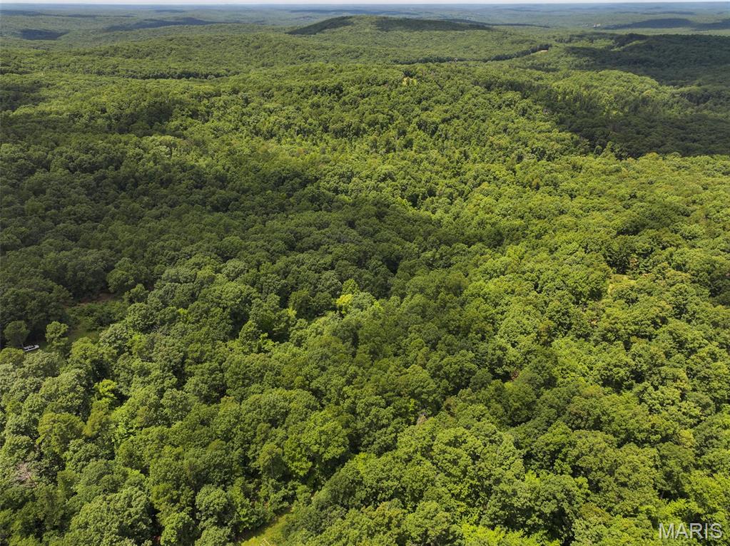 12251 Stone Ridge Road Bourbon, MO 65441 - Photo 6 of 26