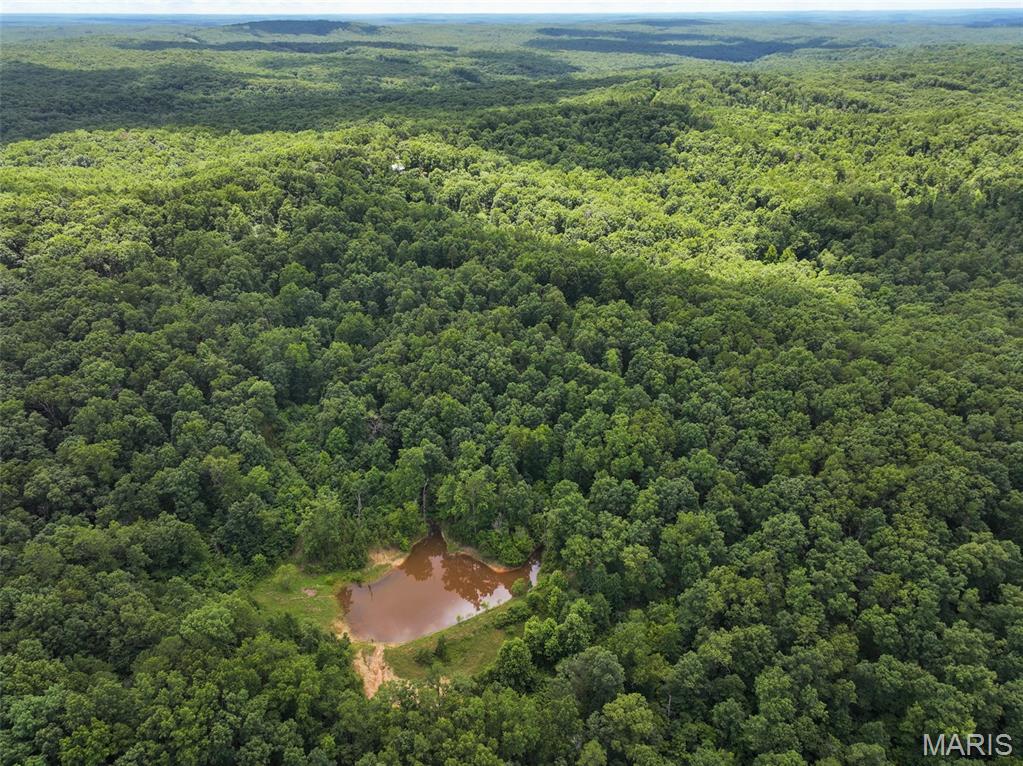 12251 Stone Ridge Road Bourbon, MO 65441 - Photo 7 of 26