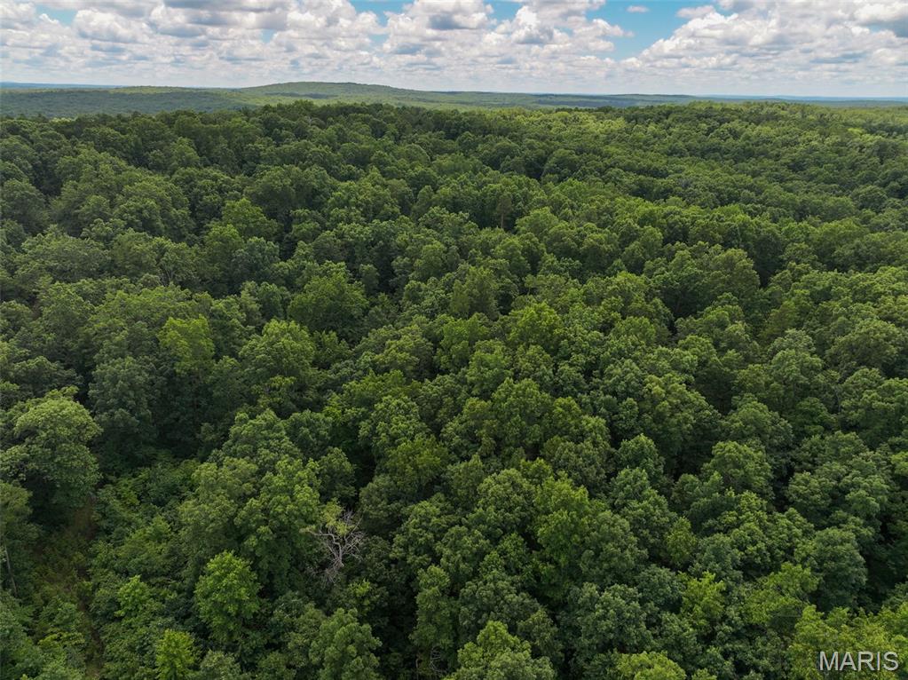 12251 Stone Ridge Road Bourbon, MO 65441 - Photo 10 of 26