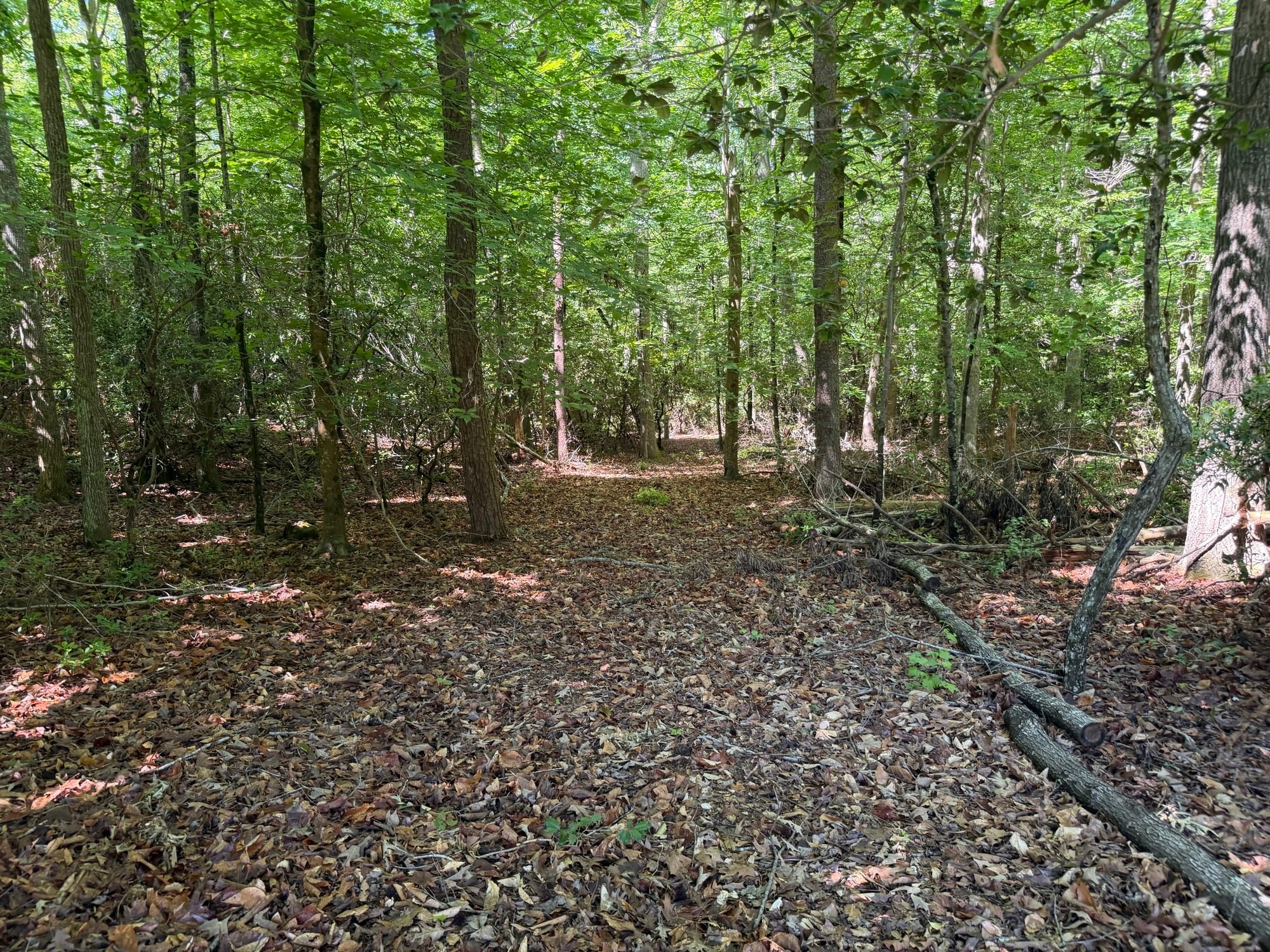 Near Cooks Mill Road Lanexa, VA 23089 - Photo 18 of 39 Gallery Image 18