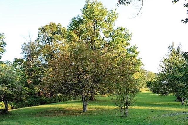 2220 White Oak Flatt Road Sparta, TN 38583 - Photo 19 of 19 Lawn