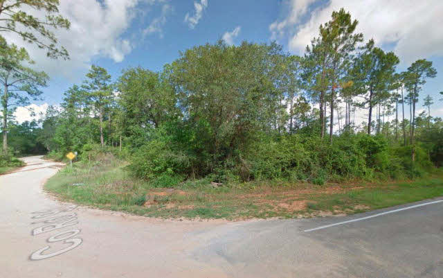 18031 3 Rivers Road Seminole, AL 36574 - Photo 4 of 5