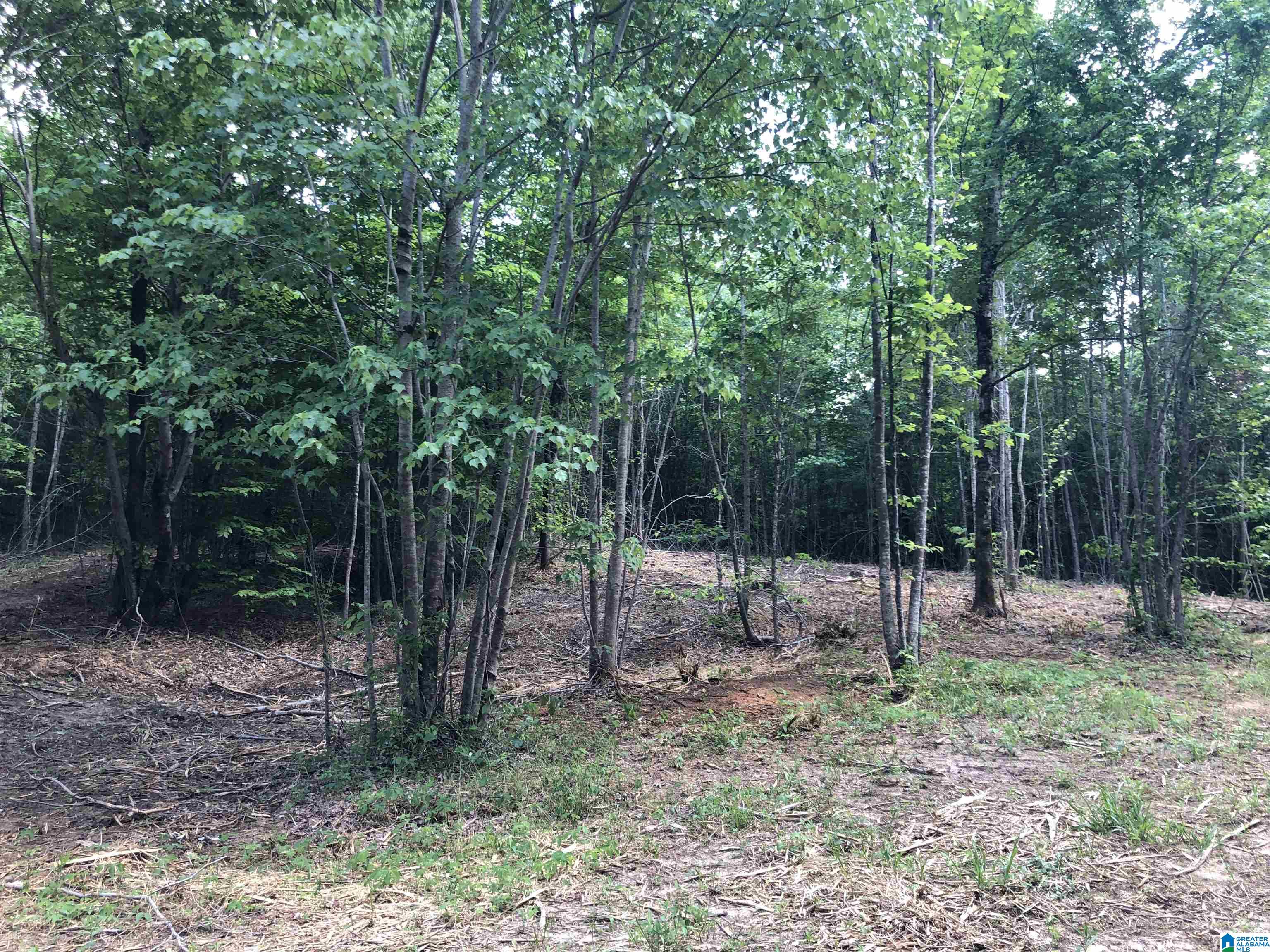 0 Peeks Hill Road, Unit 3 Ohatchee, AL 36271 - Photo 8 of 10