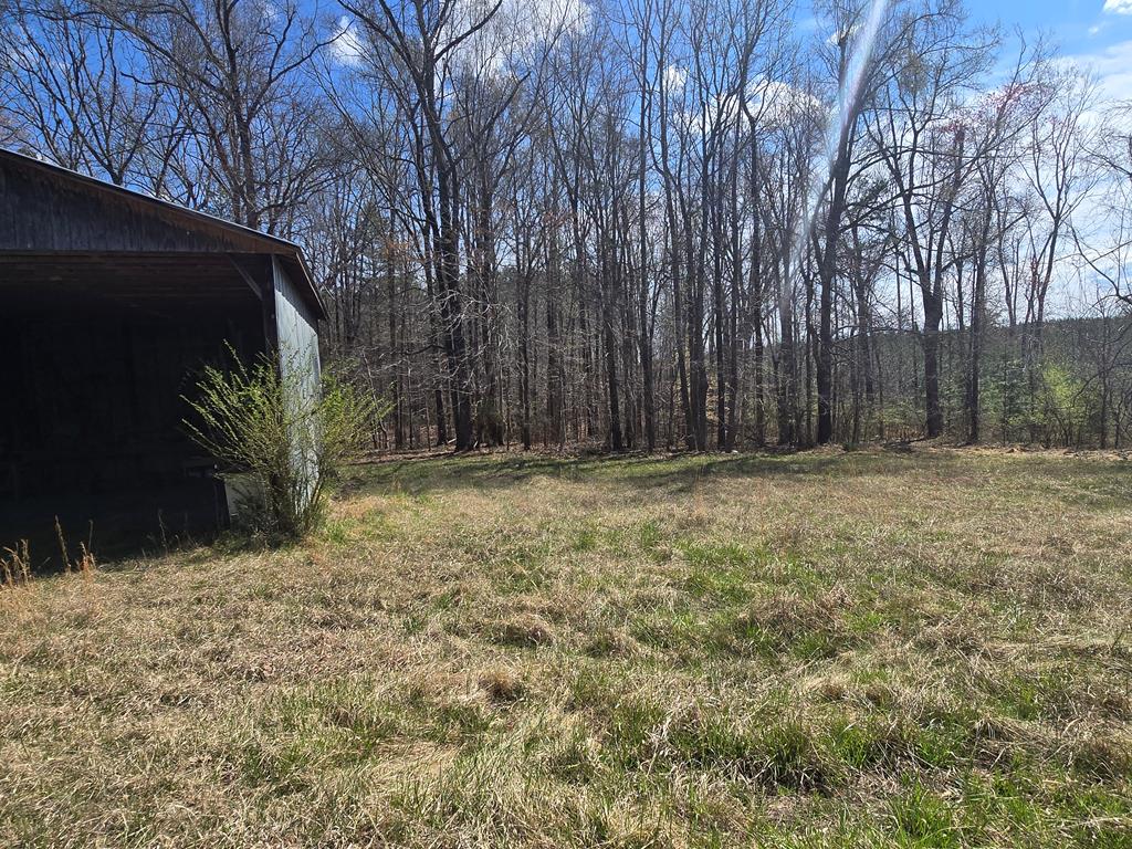 11044 Oral Oaks Road Kenbridge, VA 23944 - Photo 48 of 64 Gallery Image 48