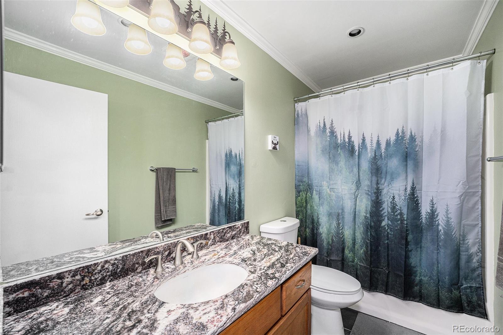 72 Rudi Lane West Golden, CO 80403 - Photo 19 of 39 a bathroom with a granite countertop sink a toilet a mirror and shower curtain