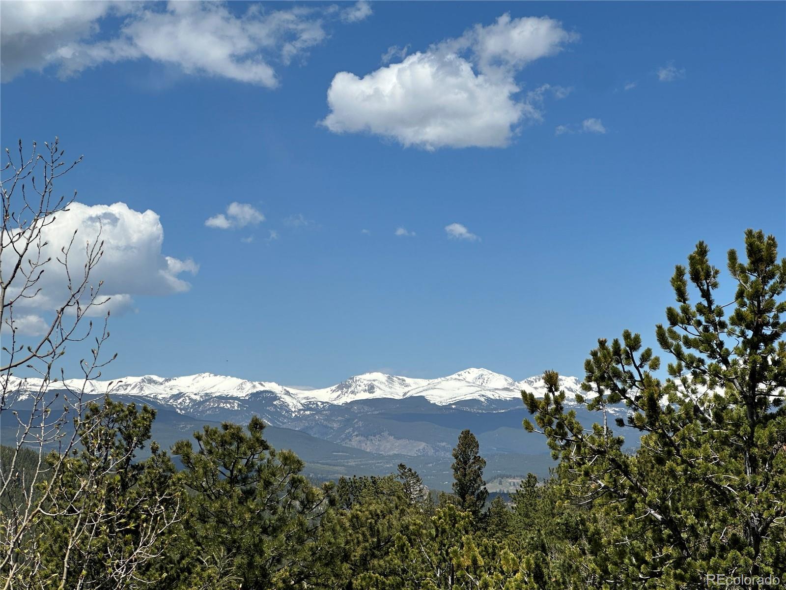 72 Rudi Lane West Golden, CO 80403 - Photo 20 of 40
