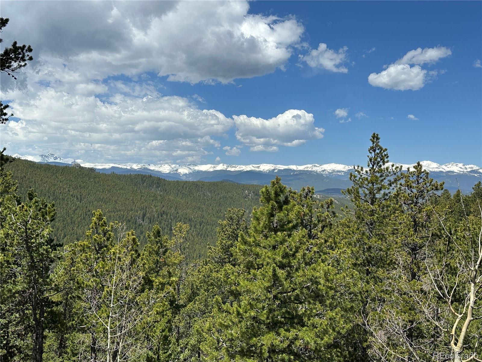 72 Rudi Lane West Golden, CO 80403 - Photo 37 of 40