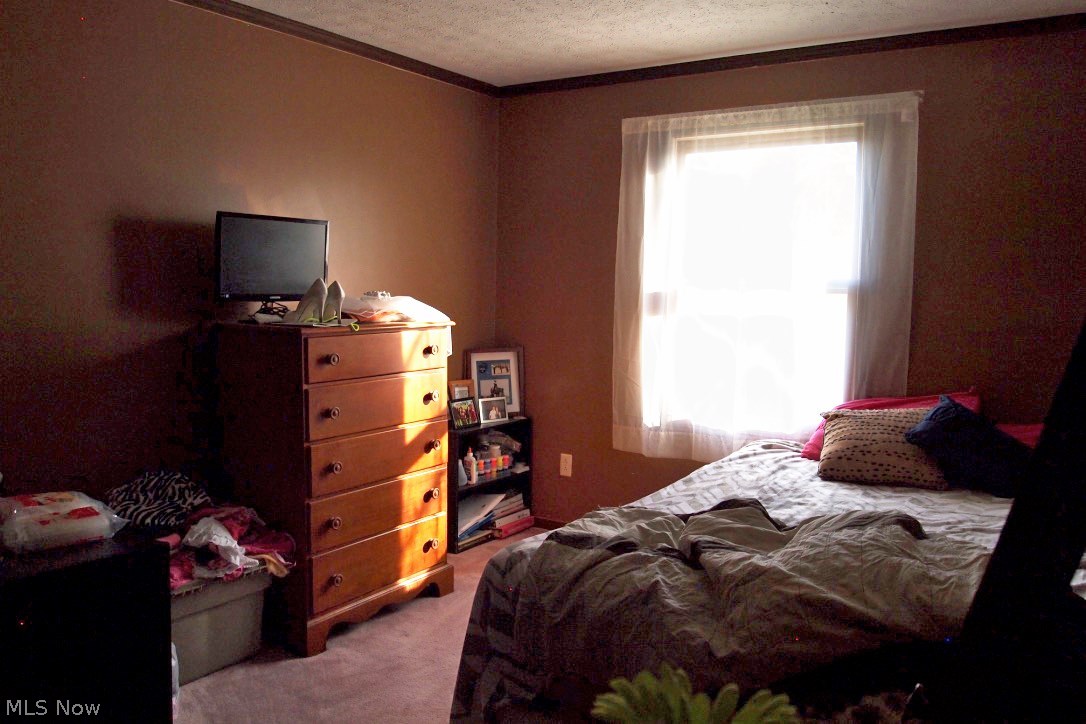 6320 Branch Road Medina, OH 44256 - Photo 15 of 22 Gallery Image 15