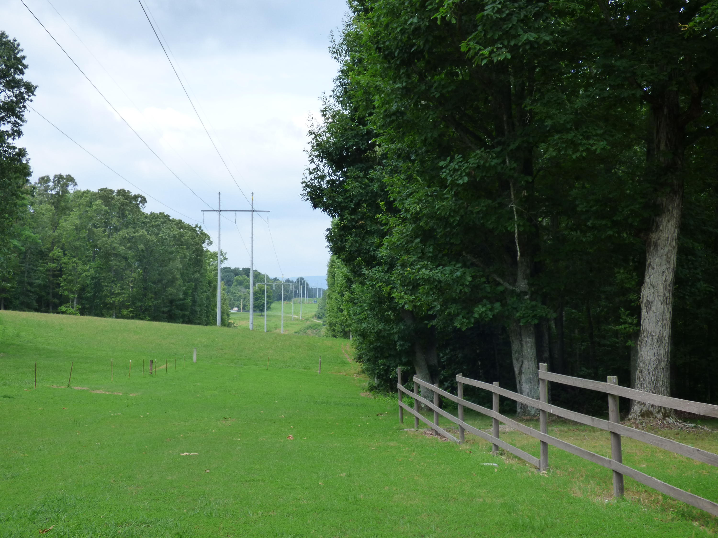 673 Lee Mason Road LaFayette, GA 30728 - Photo 3 of 12 P1010021