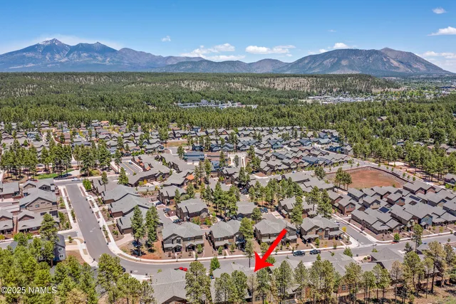 a view of a park with large trees