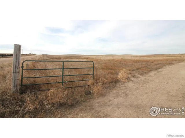 a black and white photo of a field